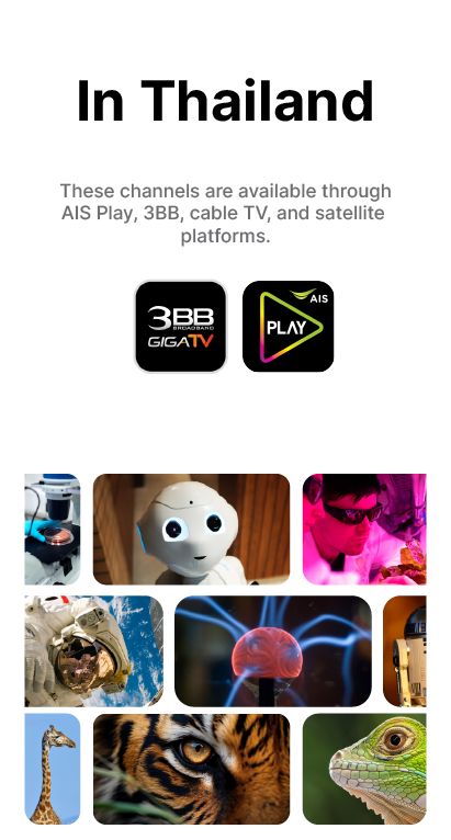 nextsteptv-l-20