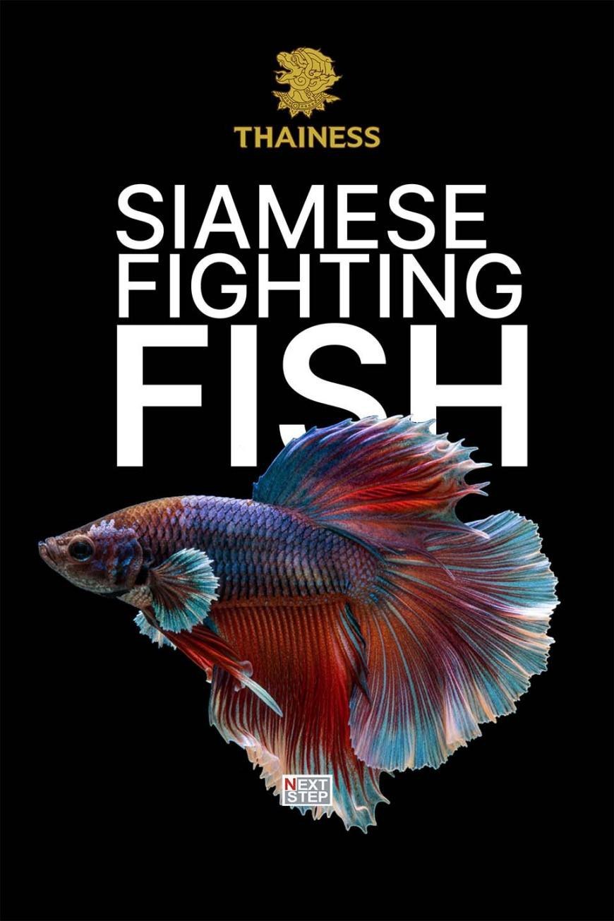 Poster for Siamese Fighting Fish, showing a red and blue betta with flowing fins on a black background