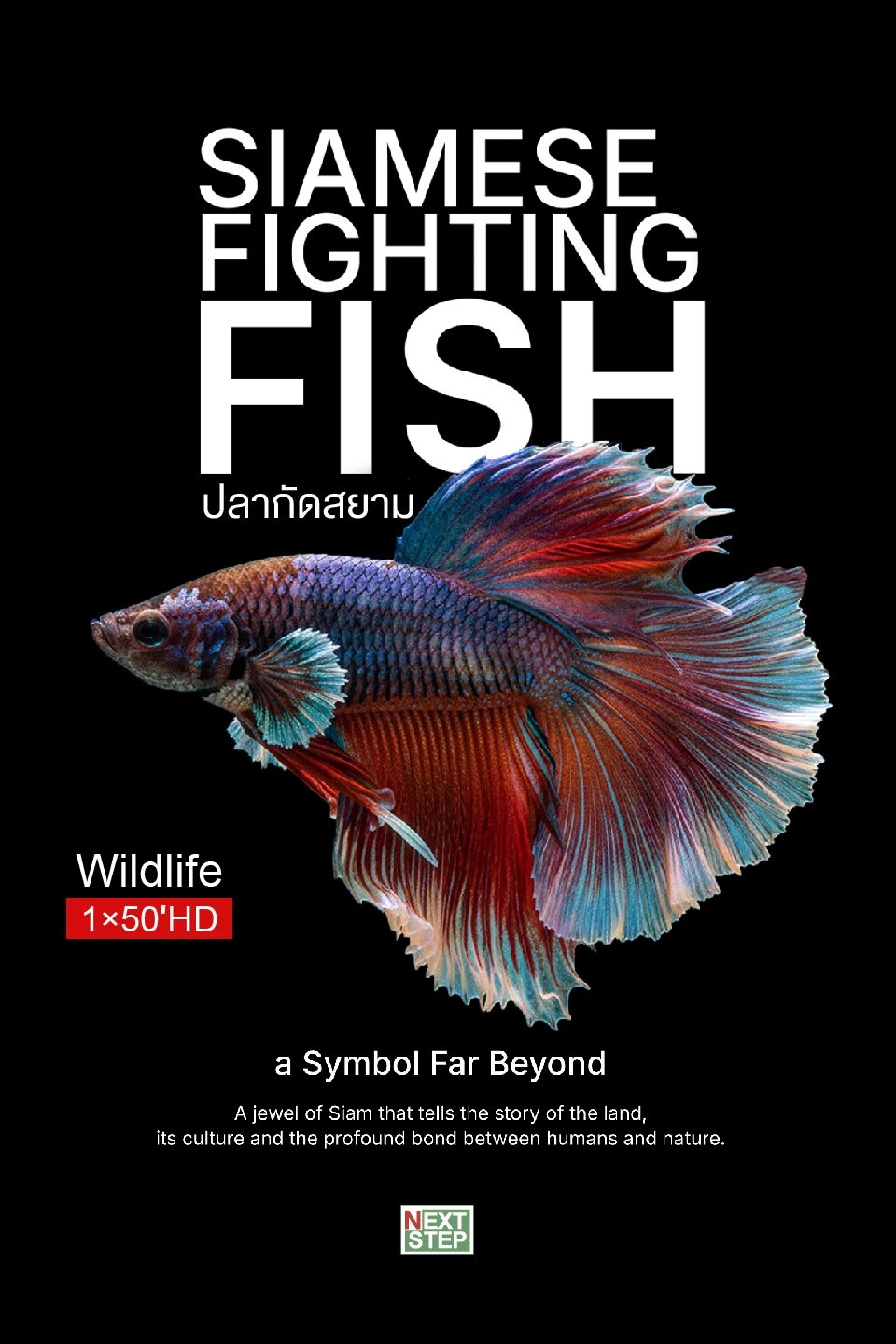 Poster for the Wild Echoes documentary Siamese Fighting Fish