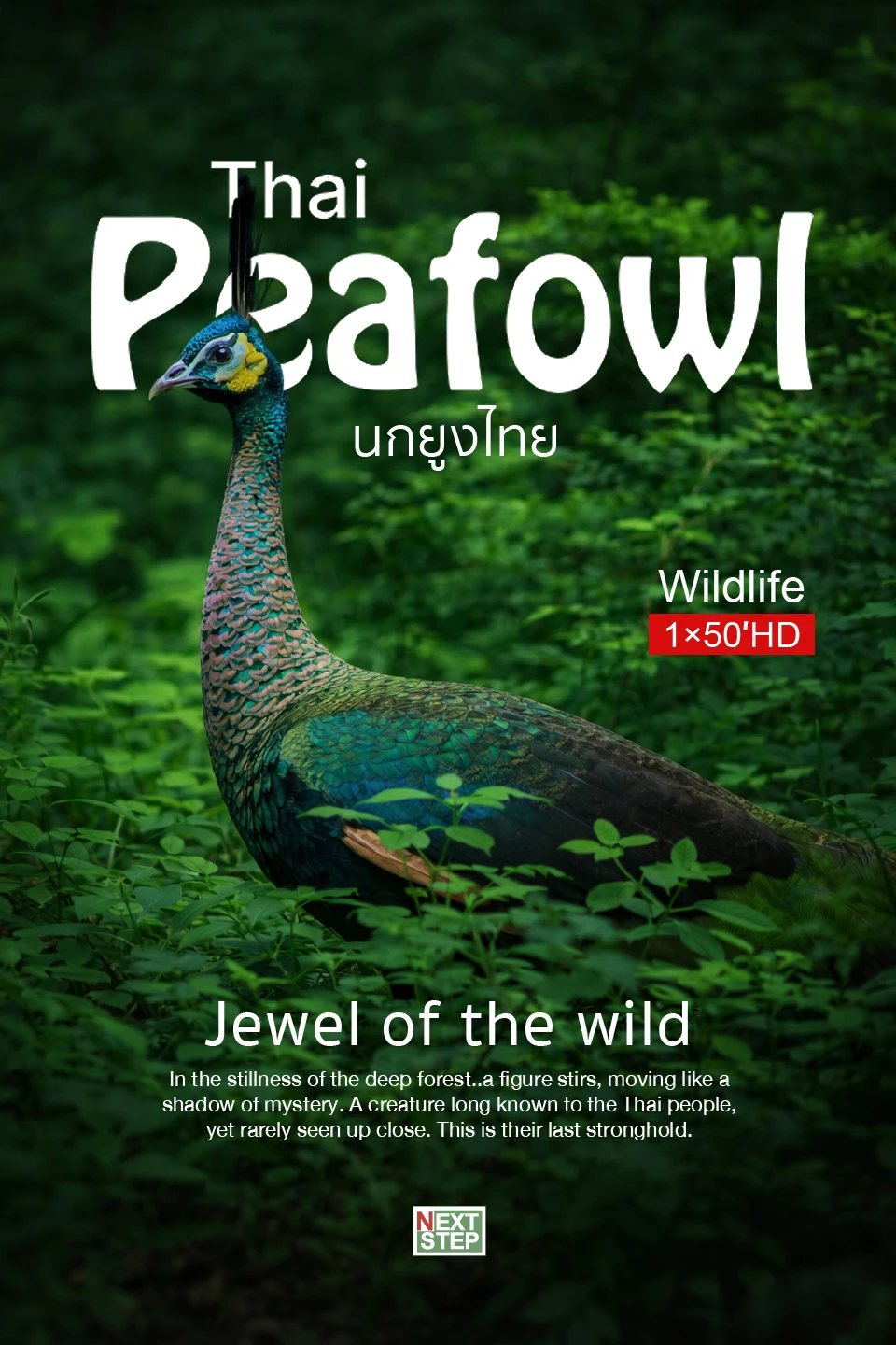 Poster for the Wild Echoes documentary The Last Dance of the Thai Peafowl